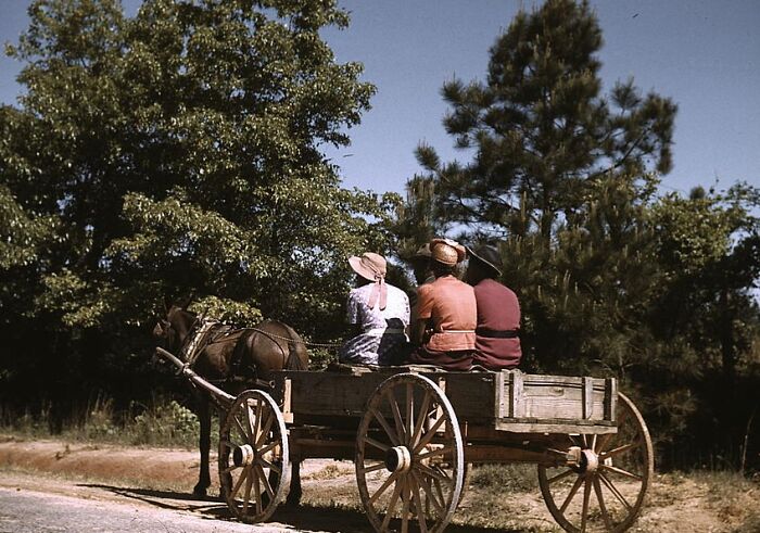 Horse-drawn carriage with three people in 1940, surrounded by trees, highlighting rural life in color photos.