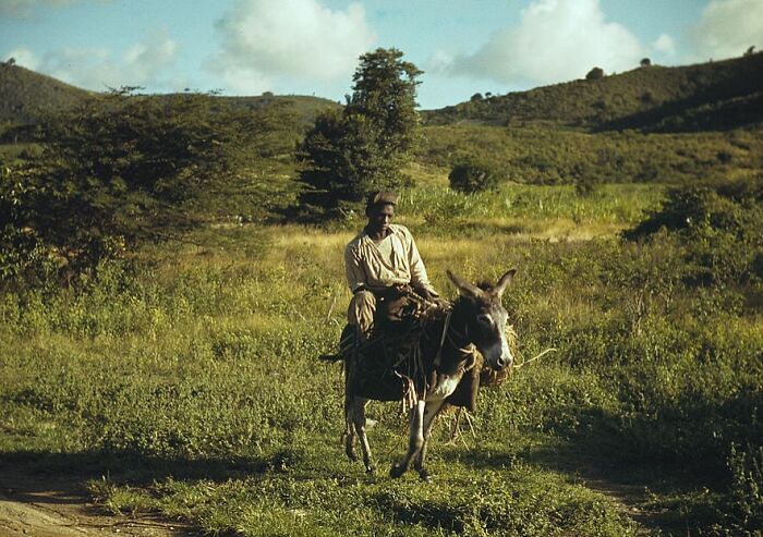 A person riding a donkey through a lush landscape, reflecting life in the 1940s.