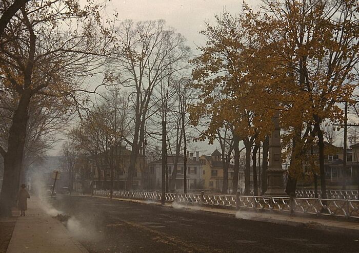 1940 color photo of a street lined with bare trees and autumn foliage, light smoke rising from the ground, under a cloudy sky.