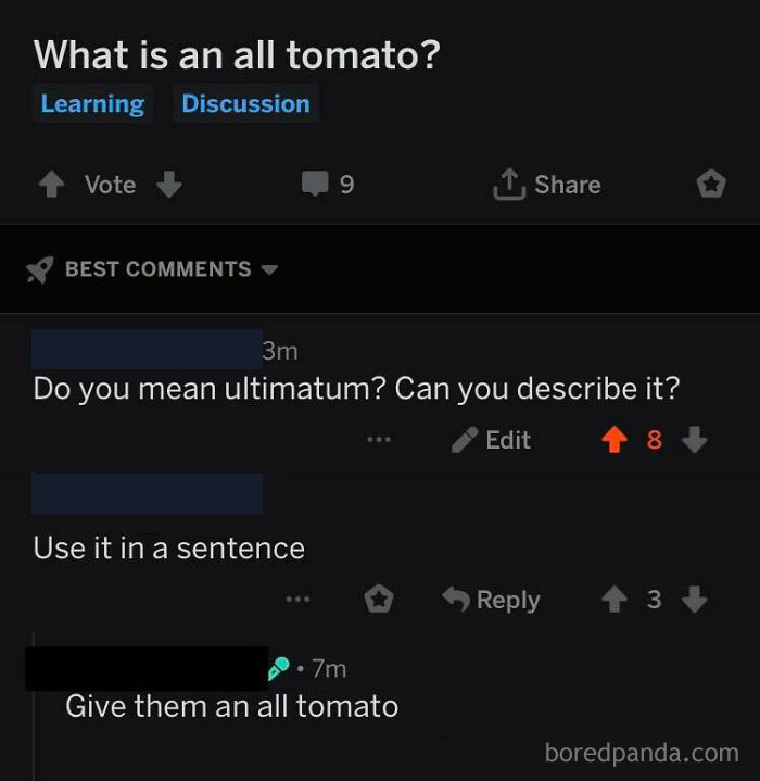 Reddit thread with users humorously confusing "ultimatum" with "all tomato," illustrating dumbest posts in 2024.