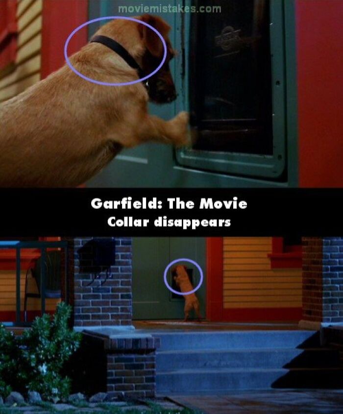 Dog's collar magically disappears in a scene from Garfield: The Movie, illustrating funny movie mistakes.