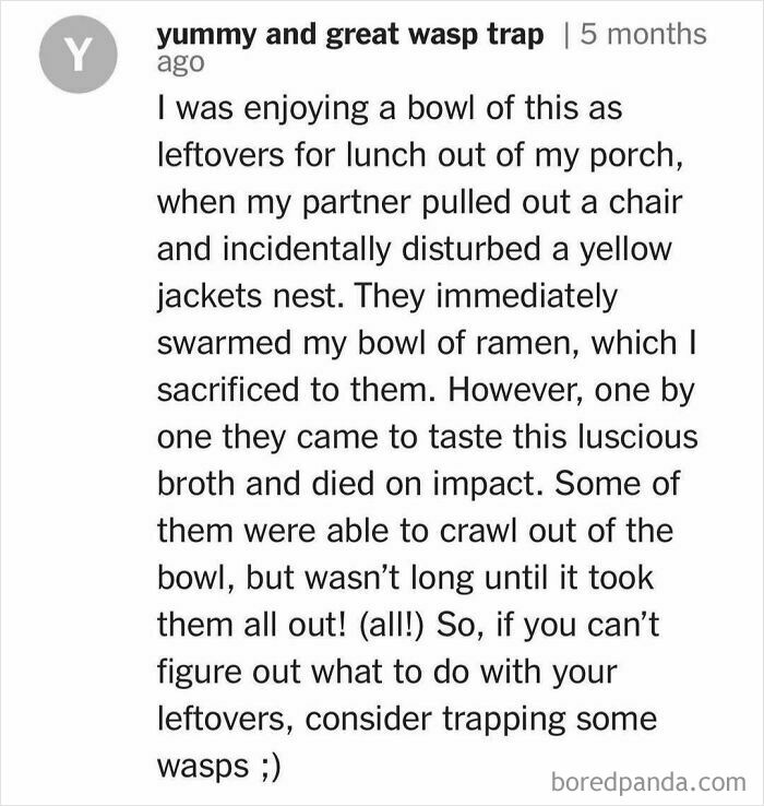 Humorous comment about using ramen leftovers as a wasp trap, highlighting unhinged cooking and recipe experiences.