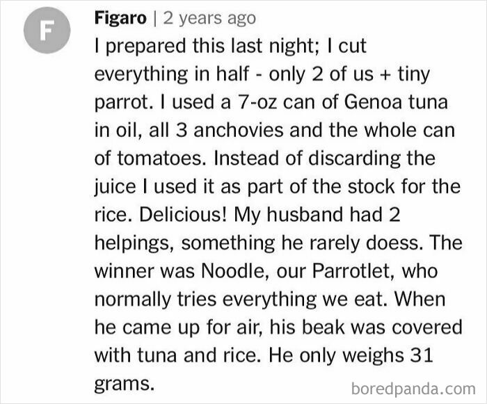 Comment discussing an unhinged cooking experience involving tuna, rice, and a parrot.