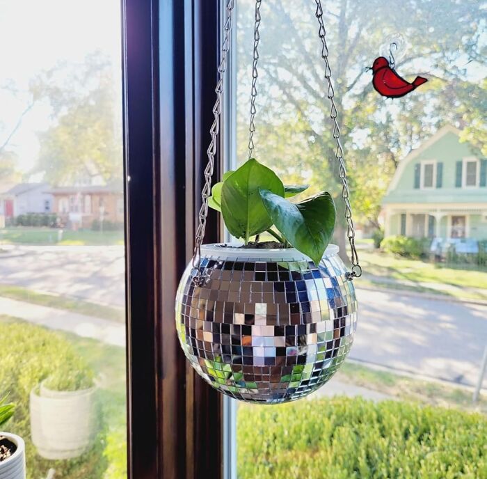 Hanging plant in a disco ball planter, capturing retro fever vibes, near a window with a stained glass red bird ornament.