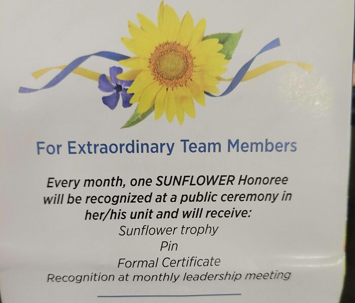 Sunflower-themed company gift announcement highlighting bonuses like a trophy, pin, certificate, and recognition.