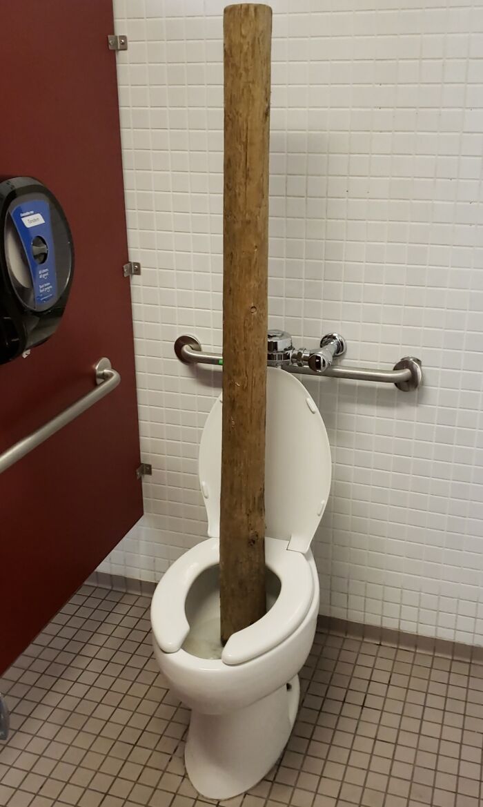 Toilet obstructed by a large wooden log, showcasing people being complete jerks.