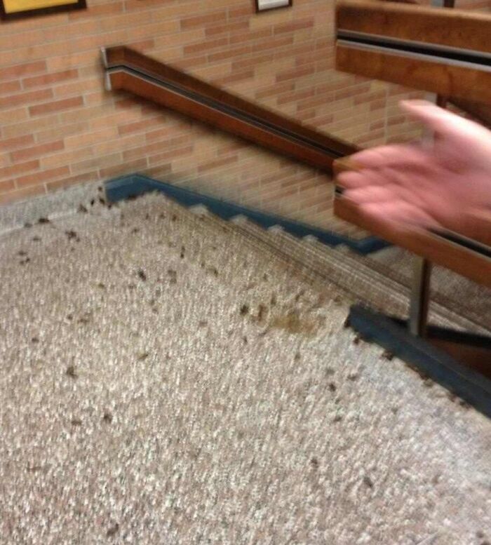 A hand gestures at a dirty staircase, exemplifying people being jerks by not cleaning up.