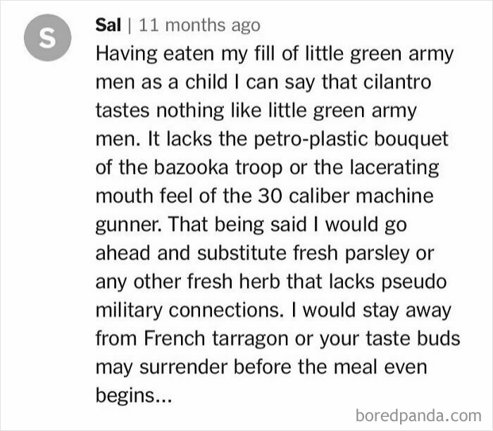 Comment humorously comparing cilantro to toy soldiers, part of unhinged cooking and recipe discussions.