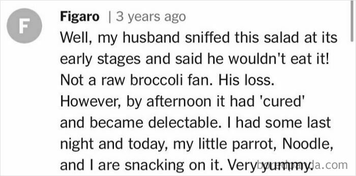 Comment about husband's dislike for salad, parrot enjoying it; related to unhinged cooking remarks.