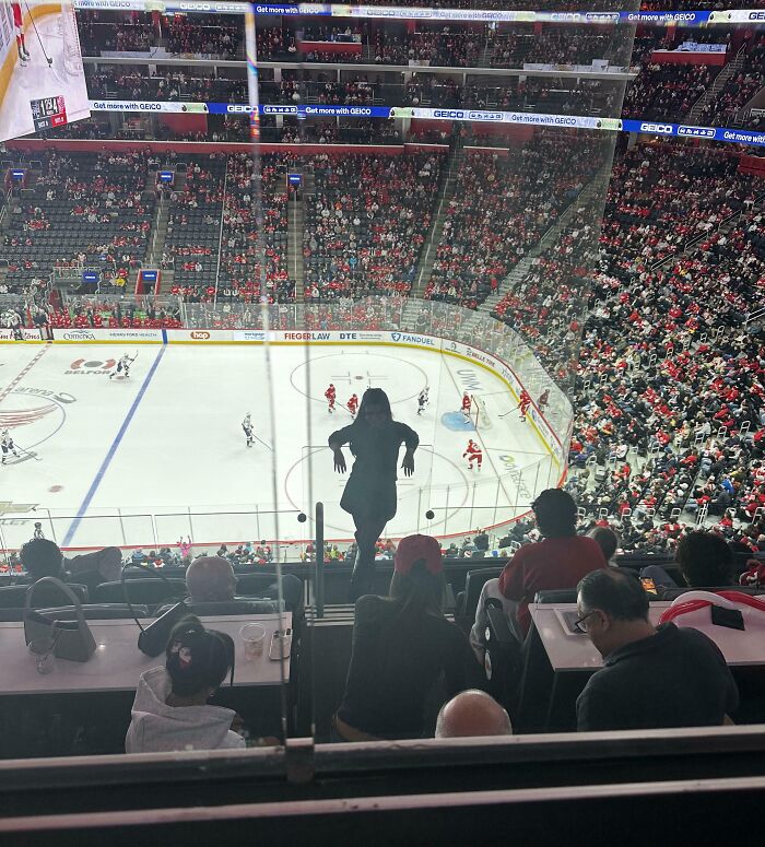 Person blocking view of a crowded ice hockey game, illustrating people being jerks in public settings.