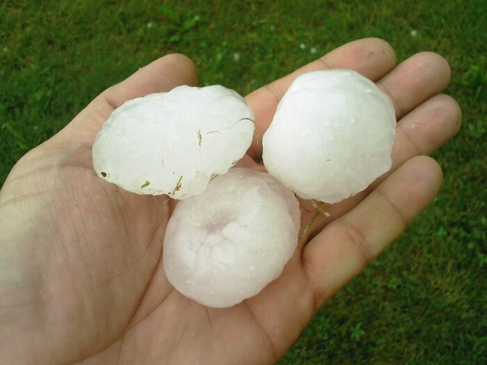 Hand holding large hailstones, an example of strange natural phenomena.