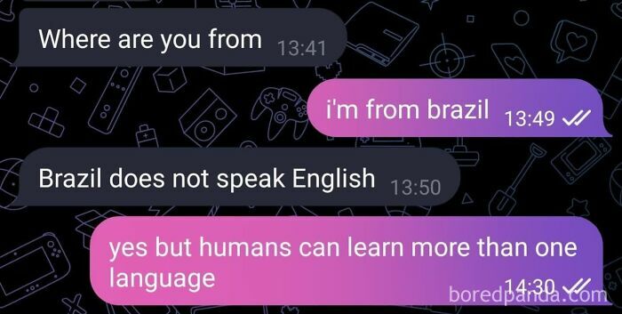 Chat depicting a misunderstanding about languages in Brazil, illustrating a 2024 dumbest post.