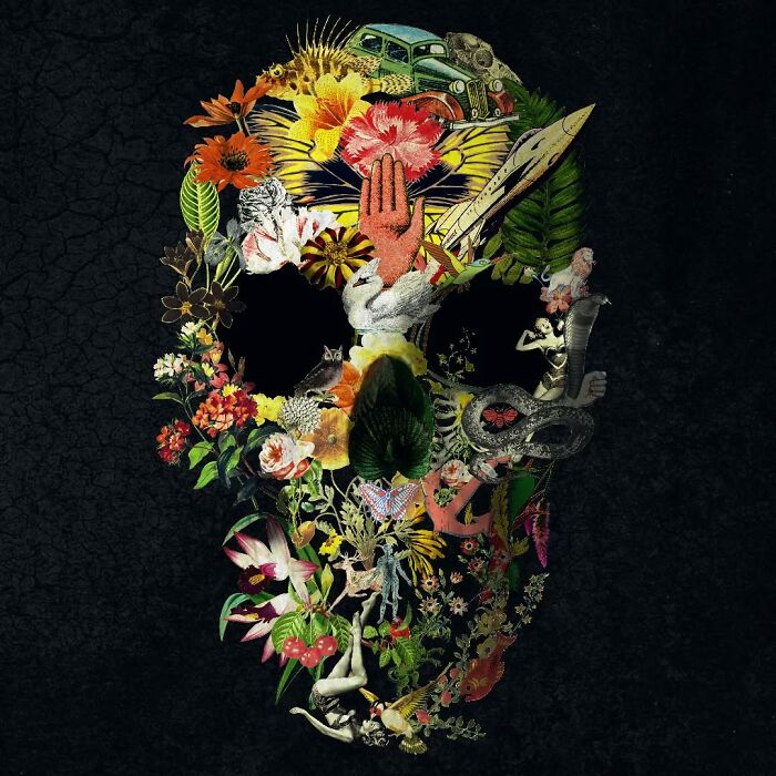 Skull artwork using digital and traditional collage, painting, and photography with flowers and animals.