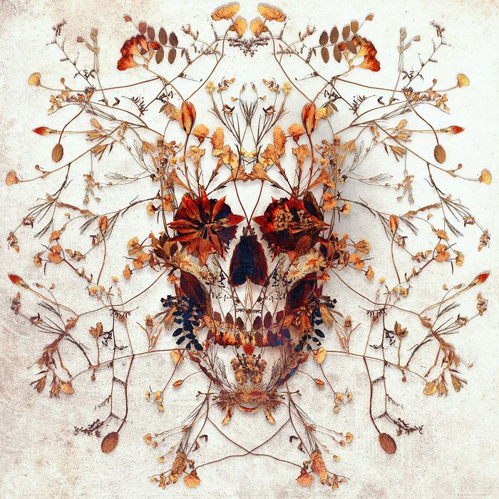 Skull artwork made from floral and botanical elements, blending digital and traditional collage techniques.