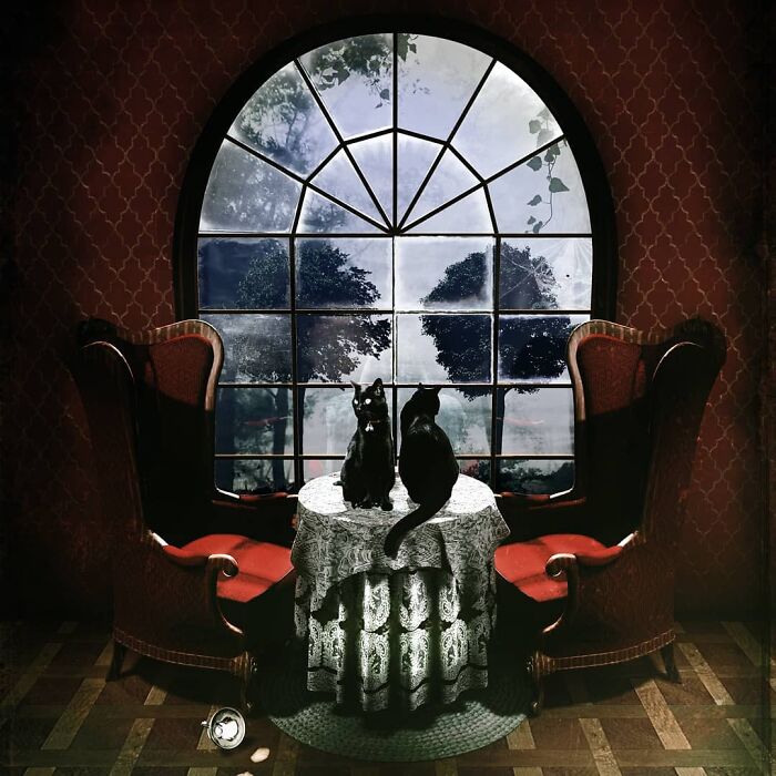 Two black cats sit on a table with a skull-shaped view outside the window, showcasing digital collage art.