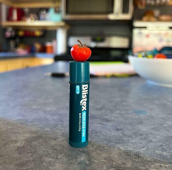 A tiny tomato on a lip balm tube on a kitchen counter, symbolizing a humorous gardening fail.