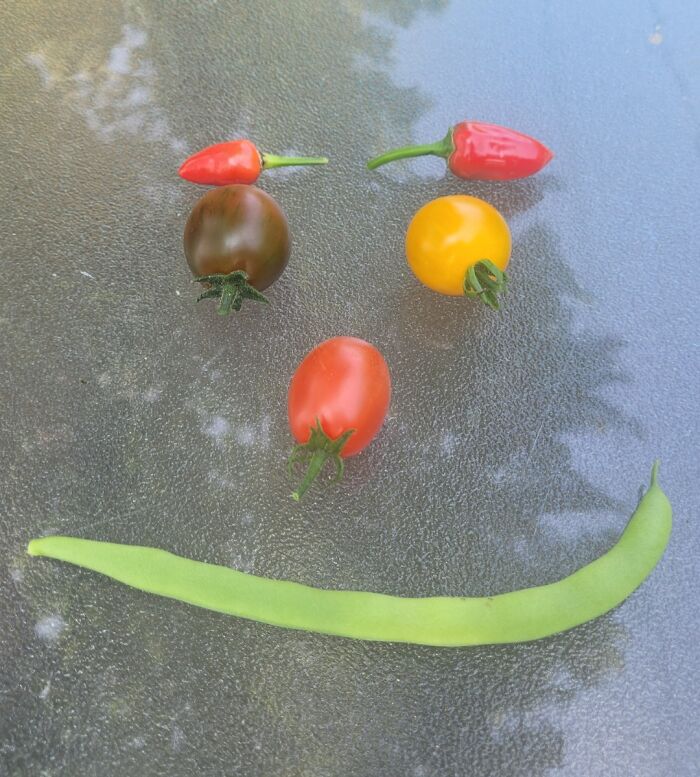 Vegetables arranged in a smiley face, showing gardening spirit despite a lack of mighty harvest.