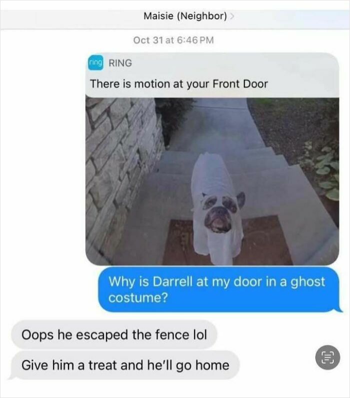 Text message exchange shows a dog at the doorstep in a ghost costume, showcasing a heartwarming moment of kindness.