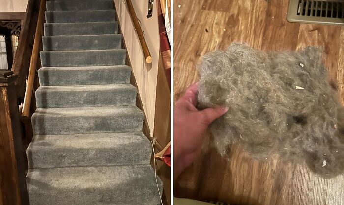 Staircase with old carpet beside a hand holding dust from an air vent, suggesting apartment modernization.