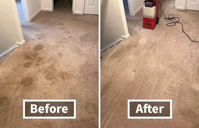 Before and after carpet cleaning transformation in an apartment hallway.