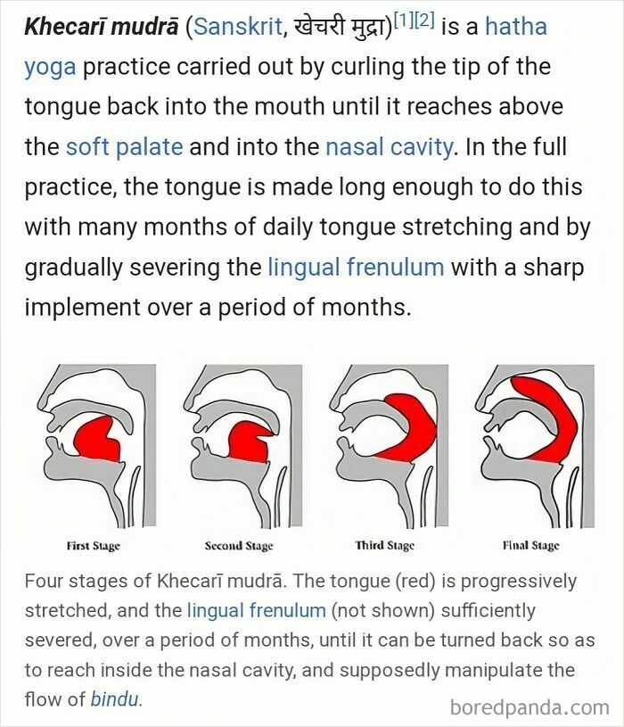 Diagram of the four stages of Khecarī Mudrā yoga practice, showing tongue progression into the nasal cavity.