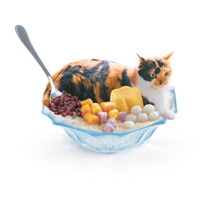 Cat artistically blended with food in a blue glass bowl, creating a whimsical and unique artwork.