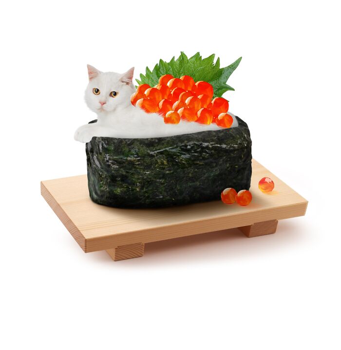 Cat blended with sushi and roe on a wooden tray, showcasing a creative mix of cats and food.