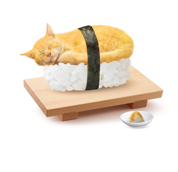 A unique art piece by Taipei artist featuring a cat creatively blended with food on a sushi platter.