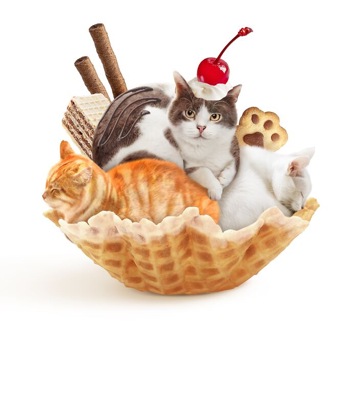 Cats creatively blended with dessert in a waffle bowl, featuring artistic food-inspired elements.