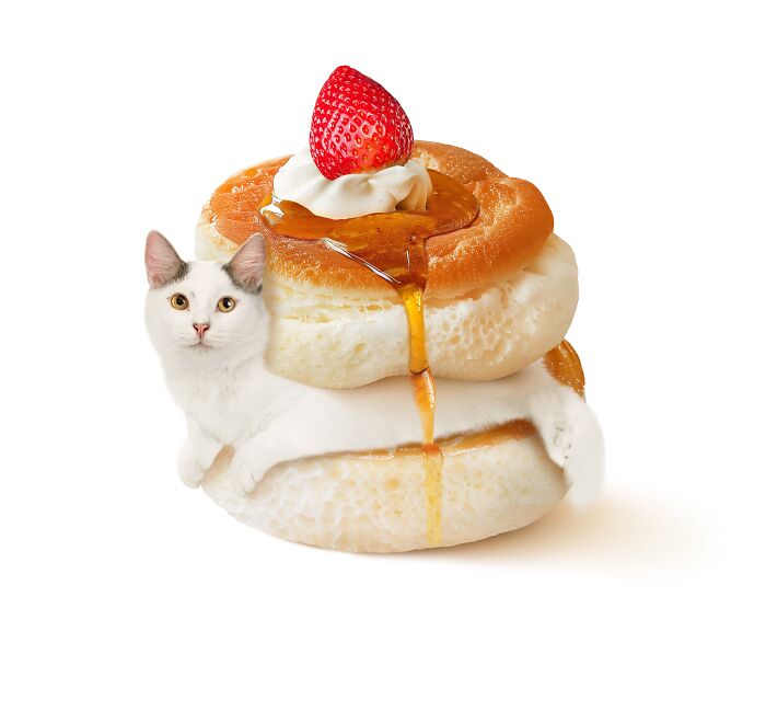 Cat blended with pancakes topped with strawberry and syrup, showcasing Taipei artist's creativity in combining cats and food.