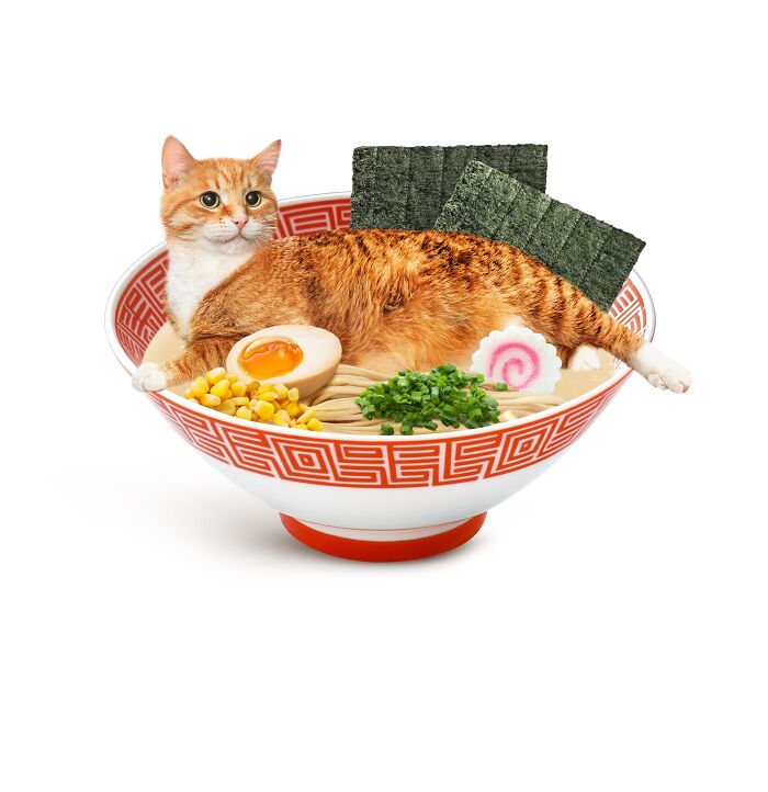 A whimsical creation featuring a cat lounging in a bowl of ramen, blending cats and food artfully.