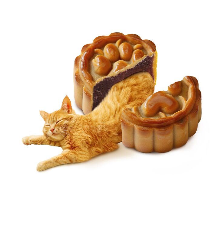 A creative blend of a sleeping cat and a mooncake, illustrating art featuring cats and food.