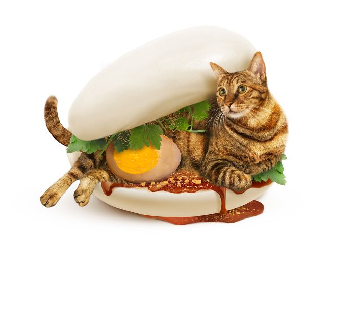 Cat artfully merged with food elements, showcasing a creative blend by a Taipei artist.