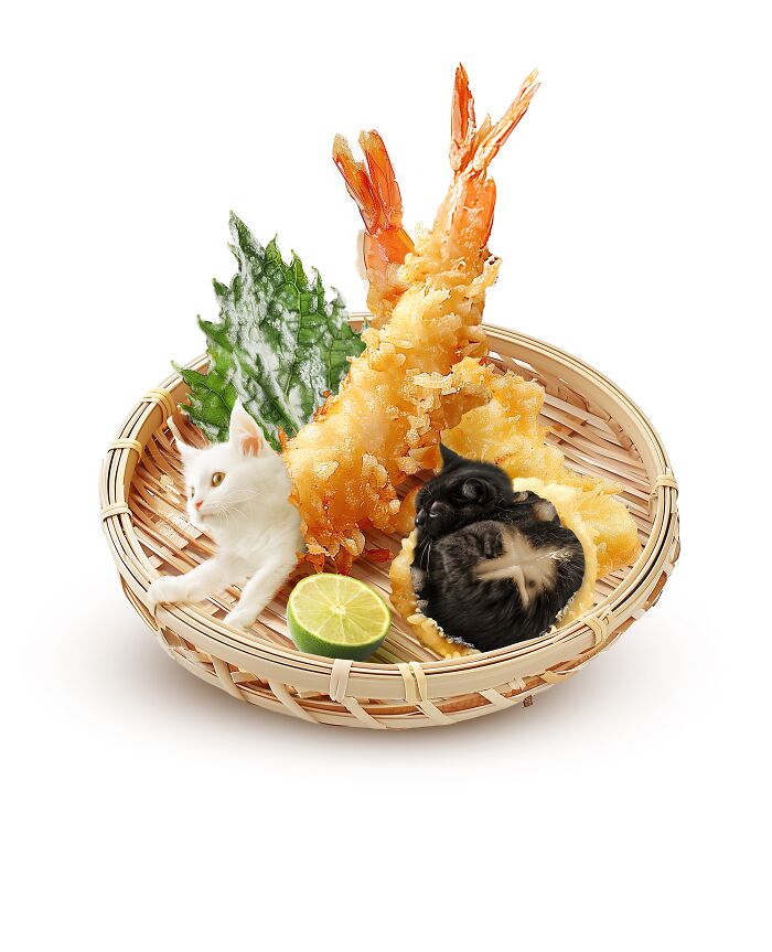 Cats and tempura creatively combined in a dish by a Taipei artist.