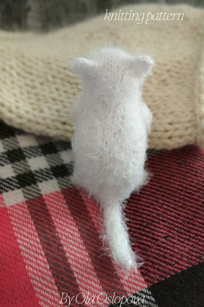 My Knitted Realistic Kittens (10 Pics)