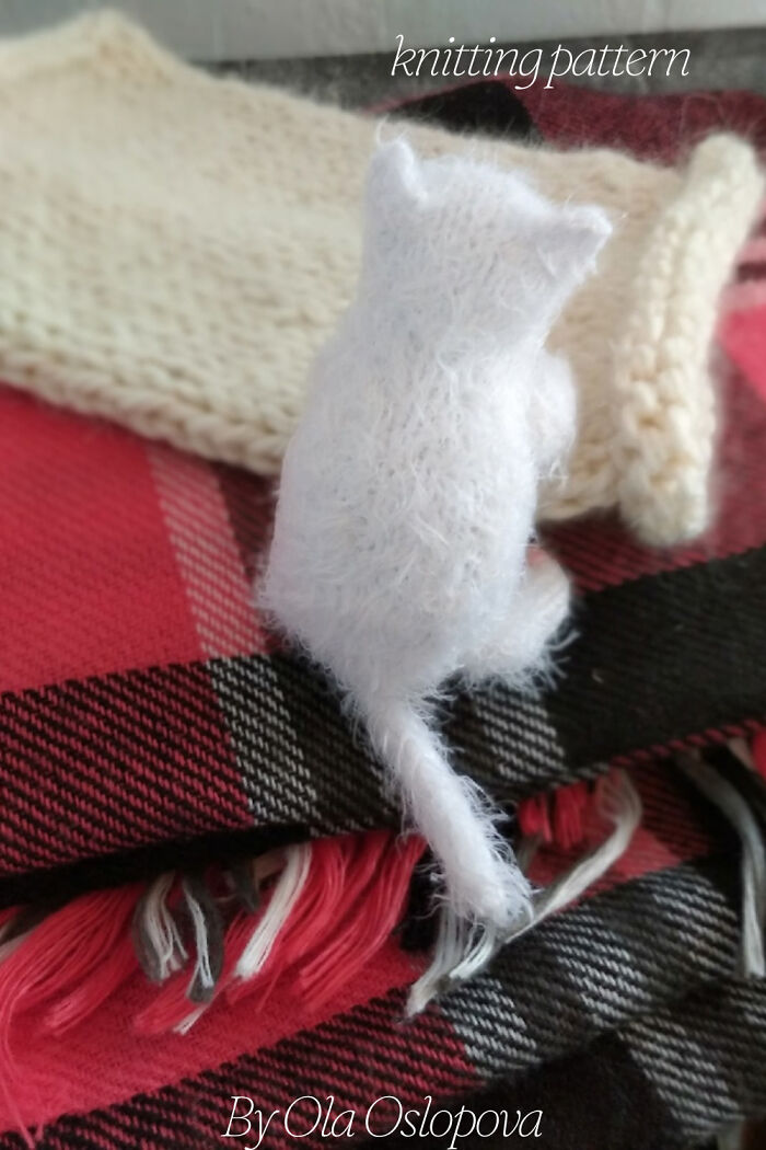 My Knitted Realistic Kittens (10 Pics)