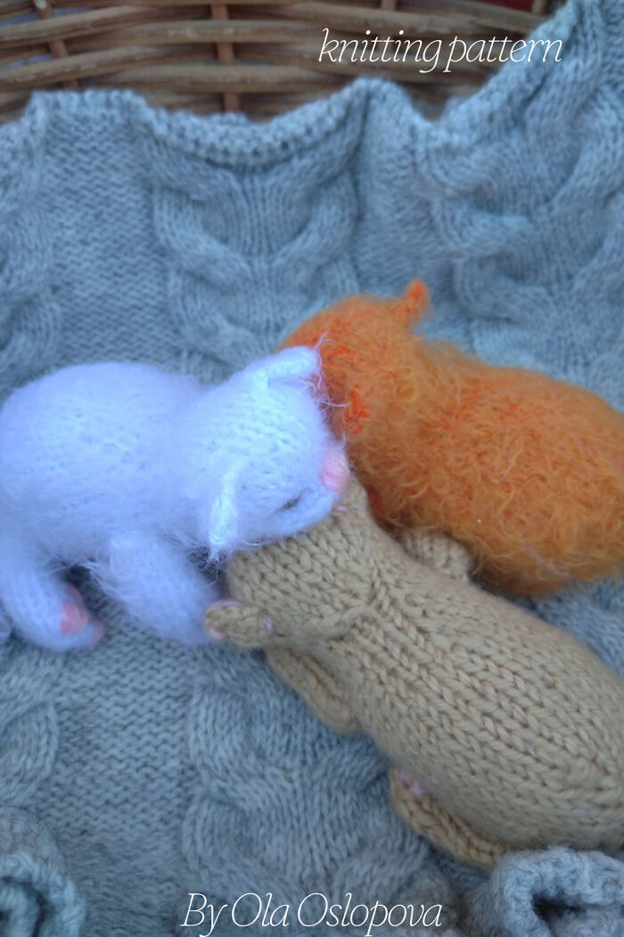 My Knitted Realistic Kittens (10 Pics)