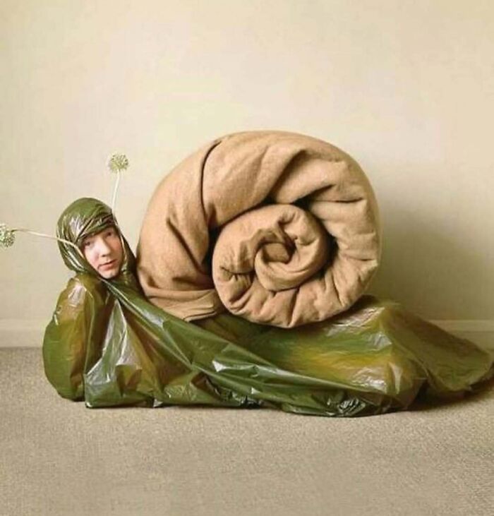 Person in snail costume with blanket shell, illustrating bizarre creativity from an eclectic Instagram page.