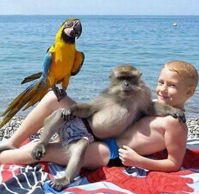 Boy at the beach with a parrot and monkey on his lap, capturing bizarre Instagram-worthy moment.