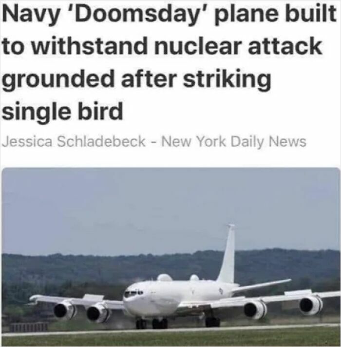 Doomsday plane grounded after bird strike, highlighting an unfortunate expensive incident.