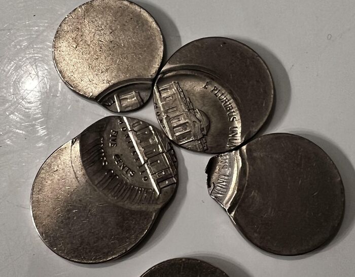 Coins from various times and countries, an intriguing find for any numismatist.