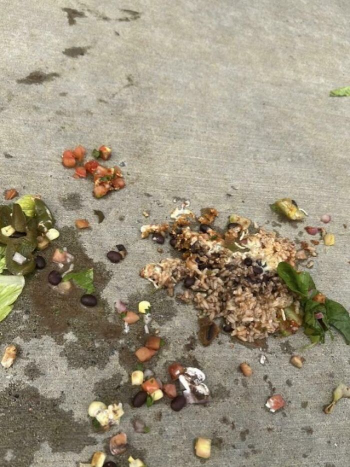 Food scattered on pavement, illustrating people being jerks by littering.