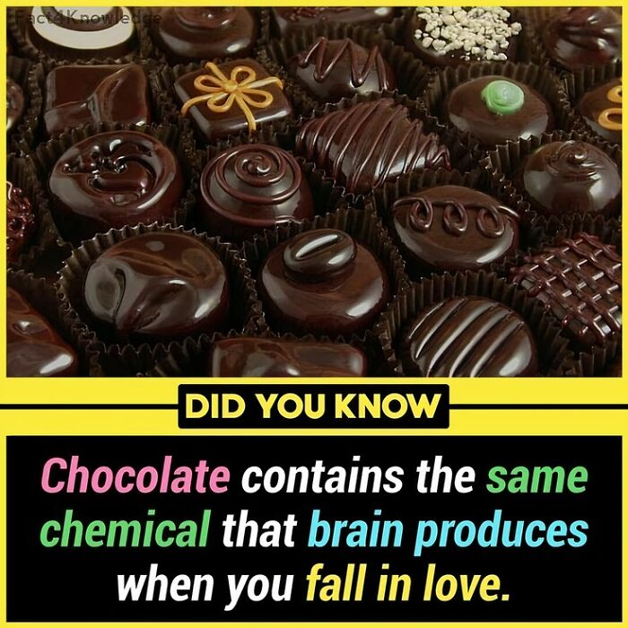 Chocolates with varied designs, highlighting a fact about brain chemistry related to love.