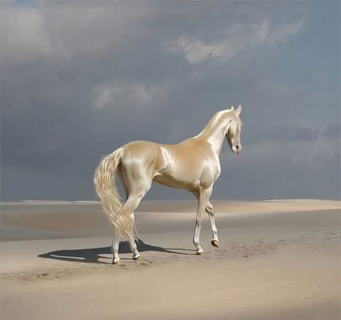 Elegant horse standing on a sandy beach under a cloudy sky, showcasing fascinating animal beauty.