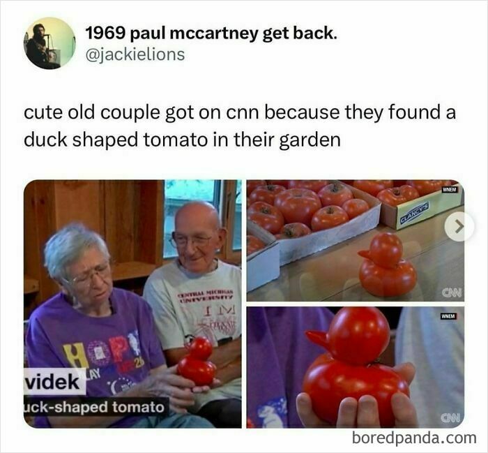 Millennial life meme: Cute couple gets attention for a duck-shaped tomato in their garden, featured on CNN.