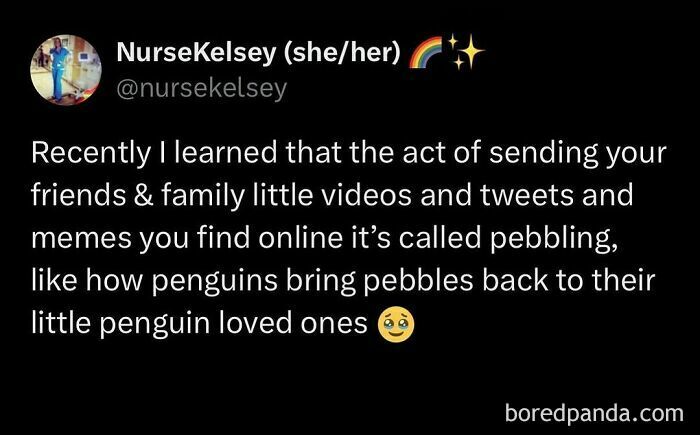 Millennial life meme about sending videos and tweets being called 'pebbling,' likened to penguins gifting pebbles.