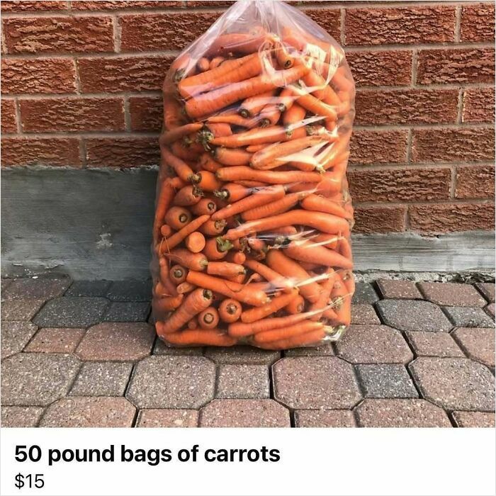 A large bag filled with carrots listed on Facebook Marketplace for $15.