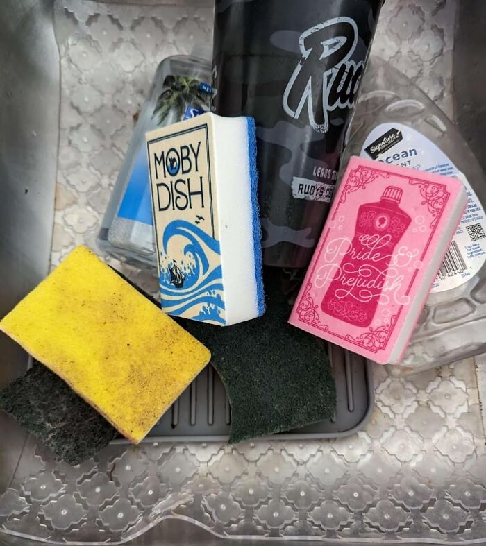 Unique sponges with playful labels like "Moby Dish" and "Pride and Prejudish" in a sink setting, showcasing cool products.