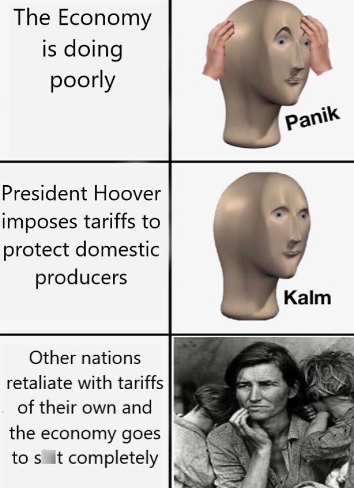 History meme showing economic panic, calm, and collapse with tariffs and President Hoover.