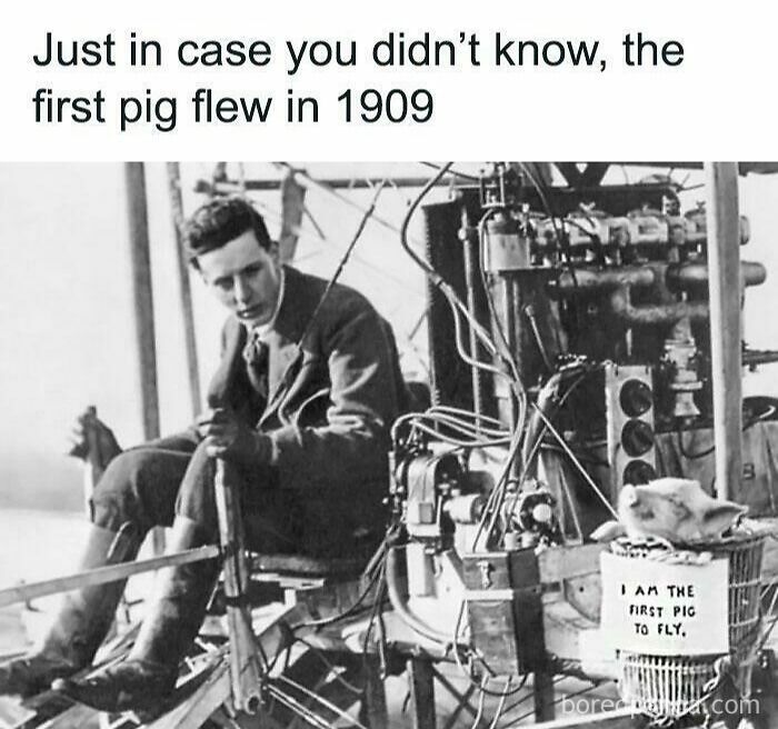 A vintage meme humorously depicting a pig flying in 1909, with a pilot and aircraft, explaining history beyond textbooks.